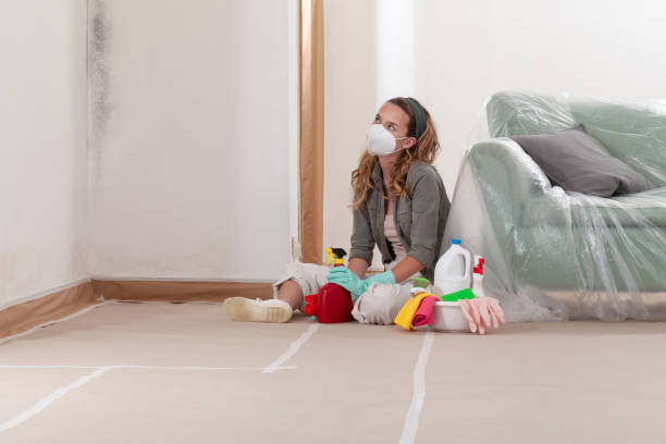 Reliable Mold Remediation contractor in Blaine, WA by 24 Hour Mold Removal